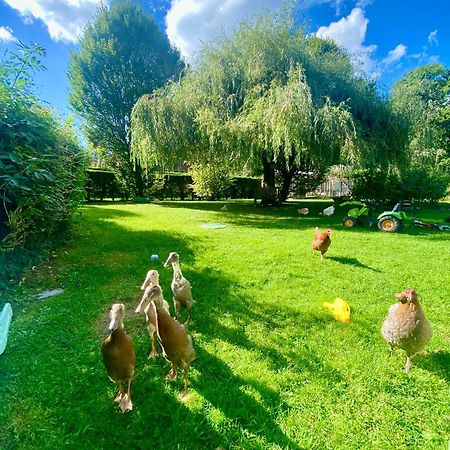 Le Clos De L'Ermitage Saint-Josse Екстер'єр фото